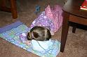 Picture 2923